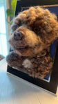 Custom 4x6 Framed Needle Felted 3d Pet Portrait
