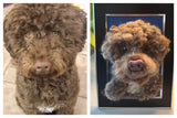 Custom 4x6 Framed Needle Felted 3d Pet Portrait