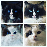 Custom 4x6 Framed Needle Felted 3d Pet Portrait
