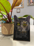 Custom 4x6 Framed Needle Felted 3d Pet Portrait