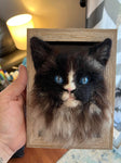 Custom 4x6 Framed Needle Felted 3d Pet Portrait