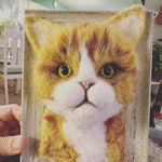 Custom 4x6 Framed Needle Felted 3d Pet Portrait