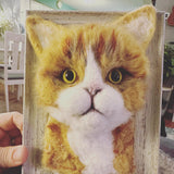 Custom 4x6 Framed Needle Felted 3d Pet Portrait