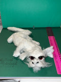 Needle felted lucky dragon. One of a kind.